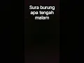 Download Lagu ada suara burung tengah malam dari kejauhan