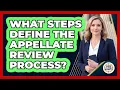 What Steps Define the Appellate Review Process