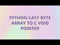 Python cast byte array to C void pointer 3 SOLUTIONS