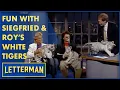 Fun With Siegfried Roy s White Tigers Letterman
