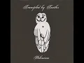 Victory - Trampled by Turtles