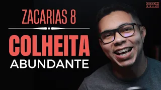 Zacarias 8 Estudo: Uma COLHEITA ABUNDANTE (Bíblia Explicada)