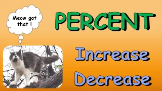 Simplified Percent Increase Decrease