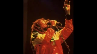 Download Bob Marley - Revolution Live in Wales MP3