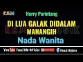 Download Lagu DI LUA GALAK DI DALAM MANANGIH - Harry Parintang [ Karaoke/Lirik ] Nada WANITA