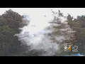 Allergy Season Is In Full Bloom Across Colorado