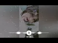 Download Lagu La Lay La Lay La Lay - I Like You Cover Session🎶 Nhạc Thái Lan Remix🇹🇭 Nhạc Tik Tok Thái Lan 2022
