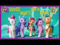 My Little Pony in Hindi 🦄यह टट्टू कौन है? | a new generation new film