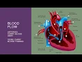 NUR 2030 Jarvis Ch 19 Heart and Neck Vessels