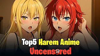 top 5 harem anime you can t miss in 2025