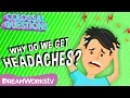 Why Do We Get Headaches COLOSSAL QUESTIONS