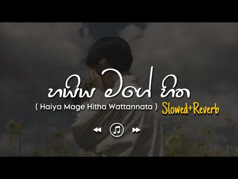 Download MP3 Haiya Mage Hitha - හයිය මගේ හිත (Slowed+Reverb)