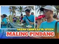 MALING PINDANG AZYA MUSIK TERBARU 2025 | MITRA AZYA 
