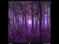 Beyond the Trees - Kisnou