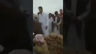 نشيد ليس الغريب 