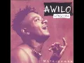 Moto pamba - Awilo Longomba