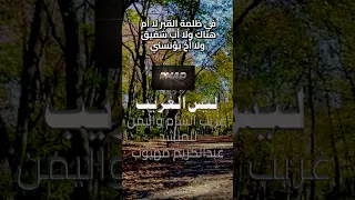 في ظلمة القبر لا أم هناك ولا أب شفيق ولا أخ يؤنسني لمنشد عبدالكريم مهيوب 