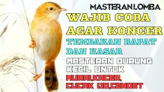 Download Masteran Tembakan Rapat Kasar Roll Speed Masteran Terbaru 2022 MP3