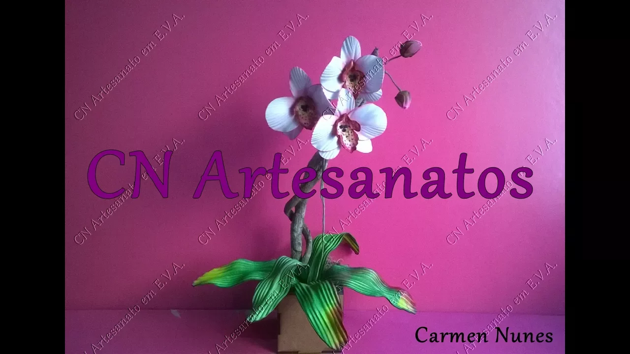 ORQUÍDEA VANDA NO FRISADOR ESTRELA SHOW