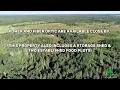 40 acres on the Stonington Peninsula