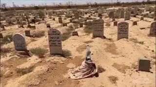 يا جبانة ياما دفنا فيك   دندنها