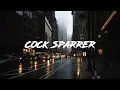 Lagu Cock sparrer - we're coming back Lyrics
