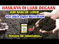 Download Lagu Saya Terkejut Dengan Hasilnya Cukup pakai bahan ini Cara fermentasi kotoran kambing
