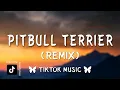 Lagu Pitbull Terrier Remix (tiktok version) - Die Antwoord (Lyrics) I am a pitbull terrier