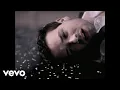Download Lagu Adam Cohen - Tell Me Everything