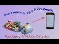 Raspberry Pi Based Motion Detector