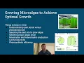 Biofuel Production from Microalgae