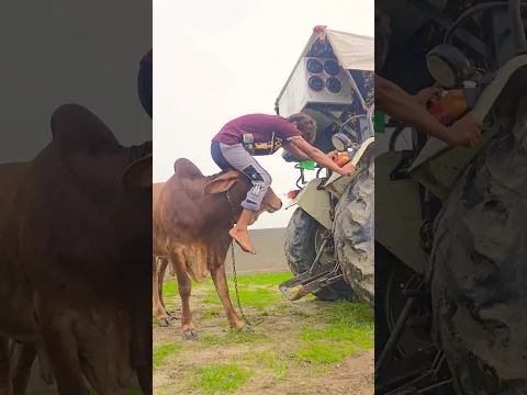 Jai gau Mata Jai shree Krishna 🙏🙏 #subscribe #viral #new #top #like #reels #foryou #trending #foryou