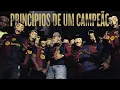 Download Lagu Chefin - PRINCÍPIOS DE UM CAMPEÃO (prod. Theuzz011, LB Único)