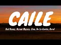 Bad Bunny x Bryant Myers x Zion x De La Ghetto x Revol - Caile (Letra/Lyrics)