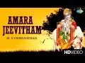 Lagu Amara Jeevitham | Lord Krishna | M.S. Viswanathan | Tamil | Devotional Song | HD Temple Video