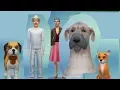 Download Lagu Rox Et Rouky Sims 4