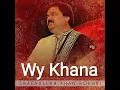 Download Lagu Wy Khana By Shafaullah Rokhri | Famous TikTok Song