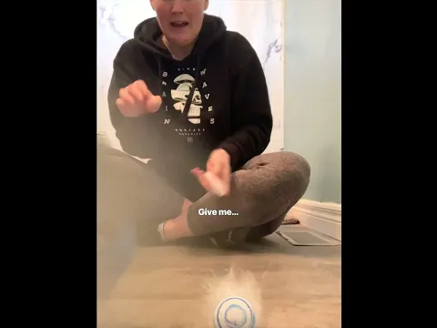 No animals were hurt in the making of this video 😅 #fail #talkingparrot #funnypets