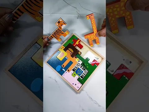 Chinki Found Her Tiger’s House! 😱🐯🏠 #shorts #stationery