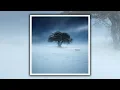 Joe Alexander Shepherd - Silence (Official Audio)