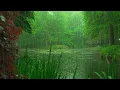 The beautiful little river is raining(109) , sleep, relax, meditate, ASMR, Real Shot