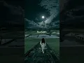 Download Lagu Tumse Mili To Yu Laga 💖💫🥰 | Maheroo Maheroo | Aesthetic Status | Shorts | Youtube Lyrics | #shorts