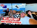 Download Lagu Brits Go Whale Watching in Australia – Unbelievable! 🇦🇺