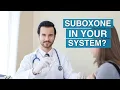 How Long Does Suboxone Stay in Your System - SuboxoneDoctor com