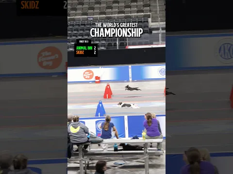 It doesn’t get closer than this
