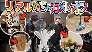 ゲームで話題『めっちゃカメレオン』でリアル隠れんぼやってみた！