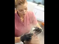 Esthetician State Board Practical Exam - 2025
