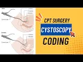 CPT SURGERY CODING URINARY SYTEM CYSTOSCOPY