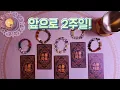 Download Lagu [타로/운세] 앞으로 2주일!!!!!