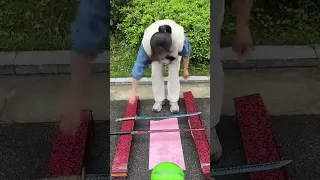 سيف الساموراي الصلب 